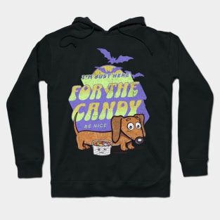 Funny cute spooky creepy Halloween Doxie Dachshund getting candy from trick or treaters and being nice Hoodie